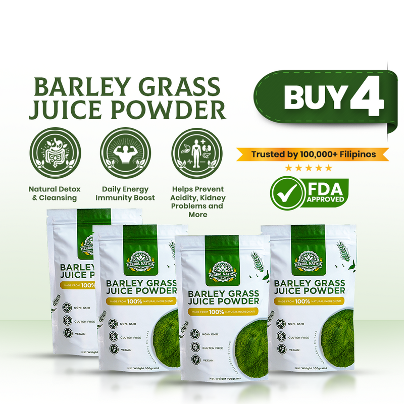 Bundle of 4 Herbal Nation Barley (Family Saver)