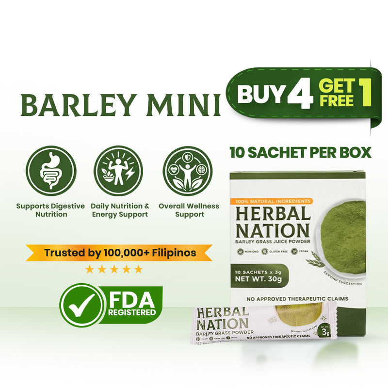 Buy 4 Get 1 On-The-Go Barley (5 Boxes HN Barley Minis)